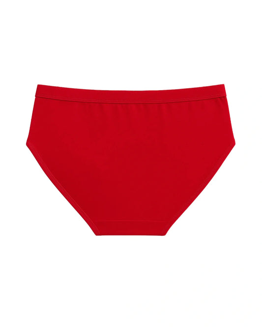 Lace Net Brief Panty - Florenza - Red