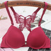 Catnight Butterfly Padded Bra – Comfort, Elegance & Support
